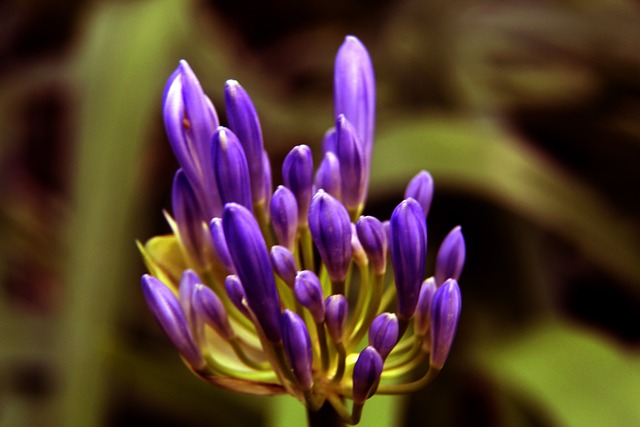 权管理与节