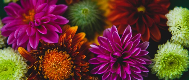 img3.webp